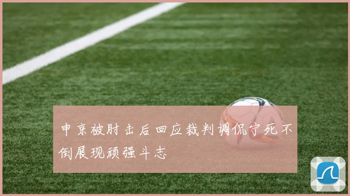 申京被肘击后回应裁判调侃宁死不倒展现顽强斗志