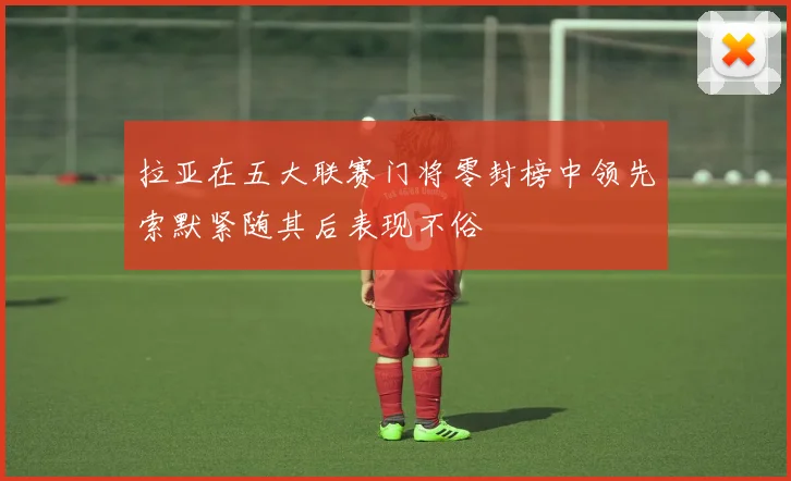 拉亚在五大联赛门将零封榜中领先索默紧随其后表现不俗